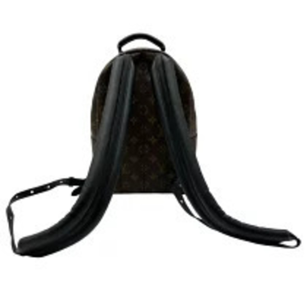 Louis Vuitton Daypack Brown Monogram Backpack Springs Palm Brown